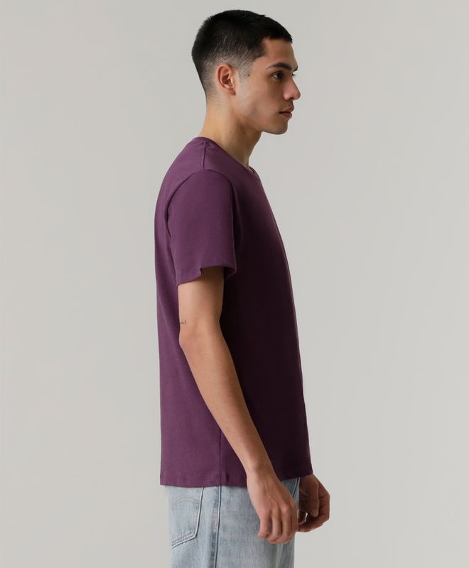 Camiseta Levi's® SS Graphic Tee MX para Hombre